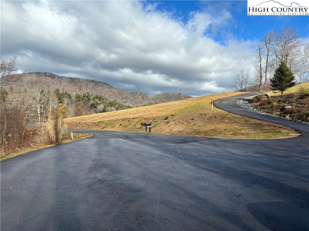 Image number 3 for the current listing