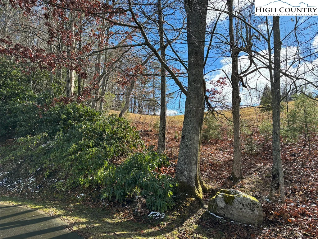 Image number 4 for the current listing