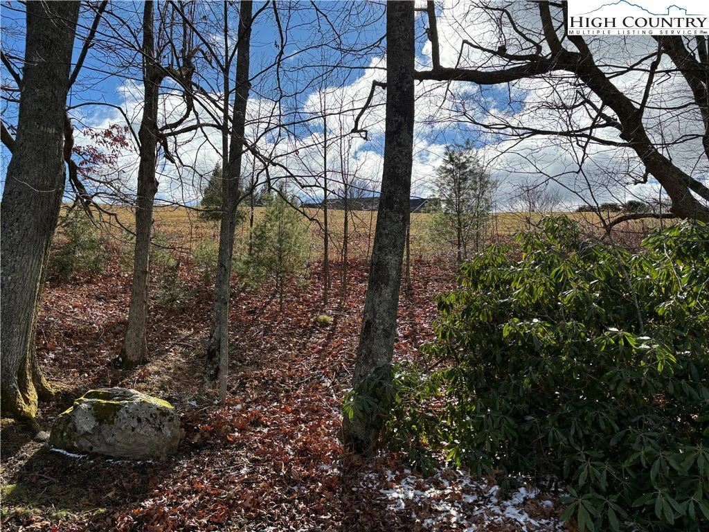 Image number 5 for the current listing
