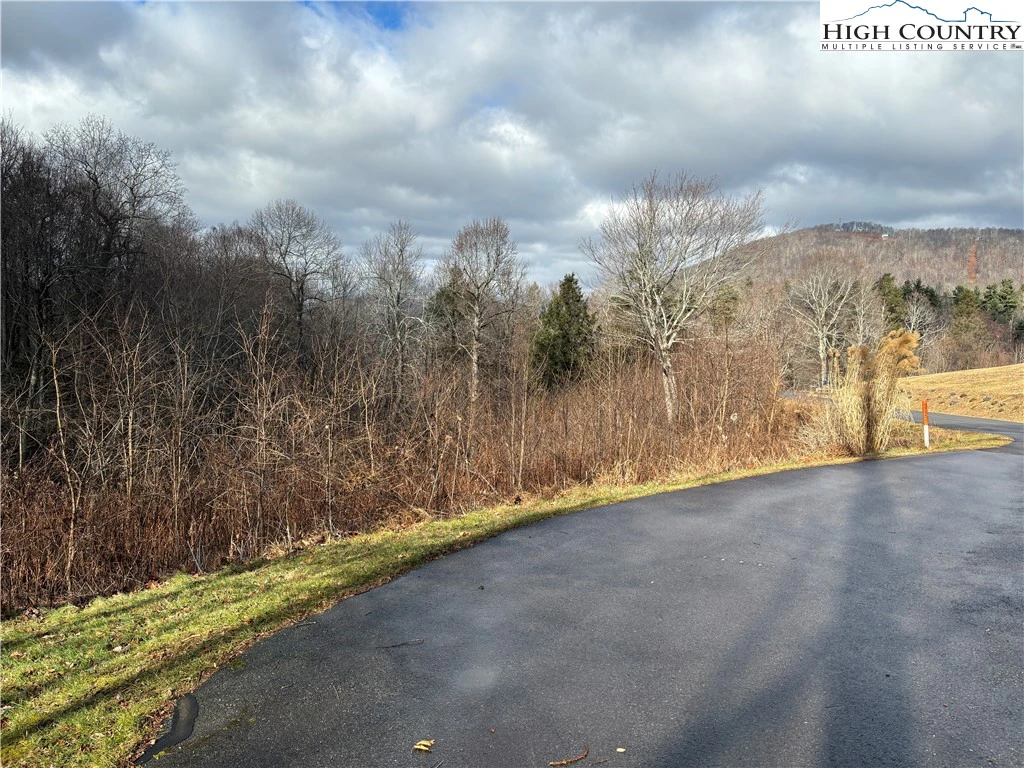 Image number 9 for the current listing