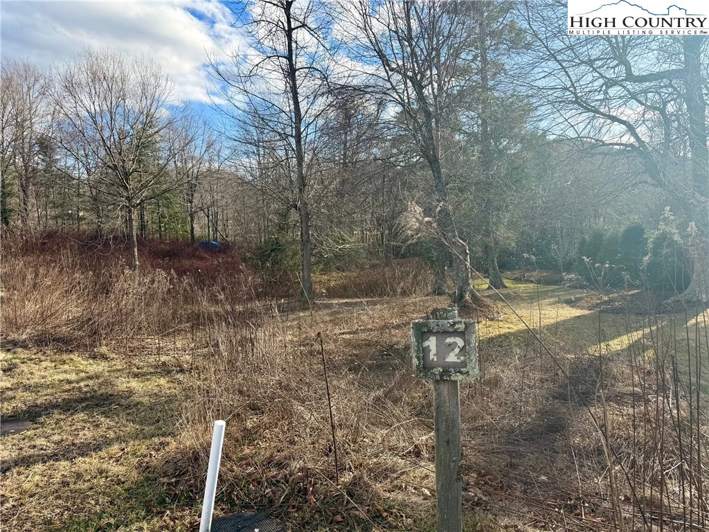 Image number 4 for the current listing