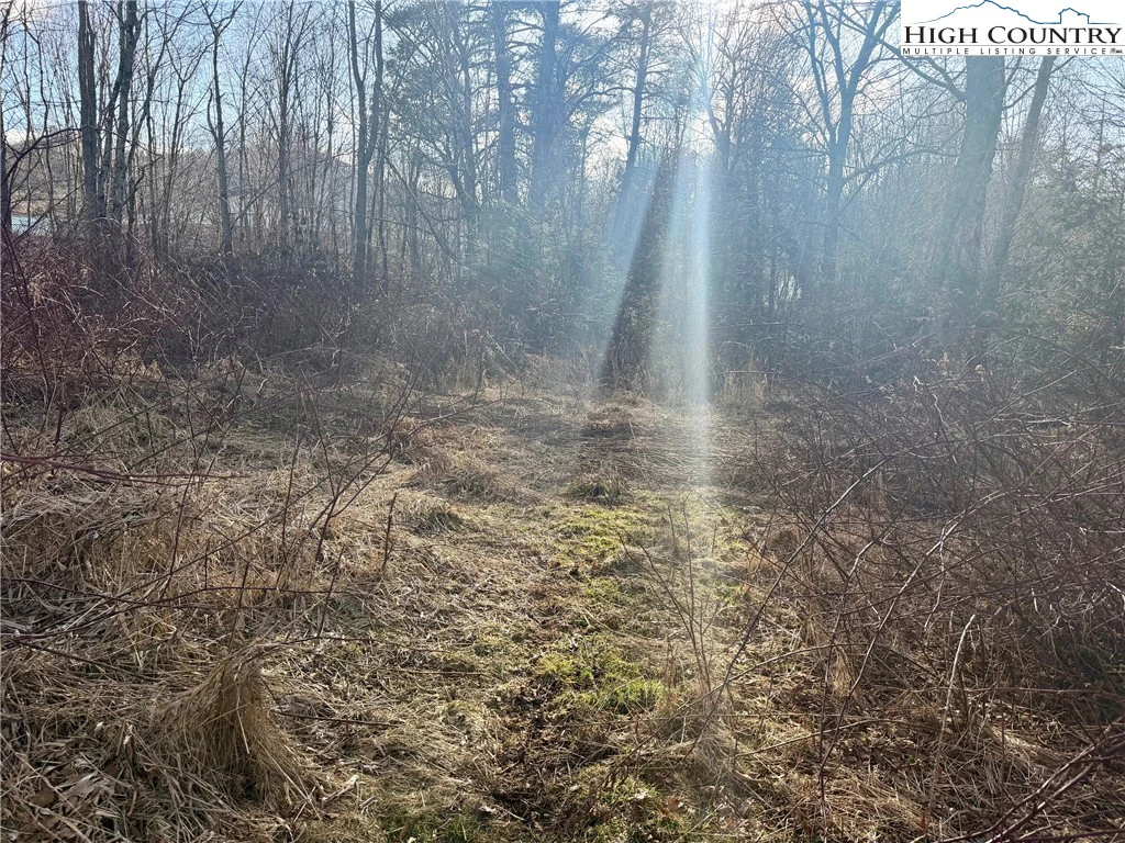 Image number 1 for the current listing
