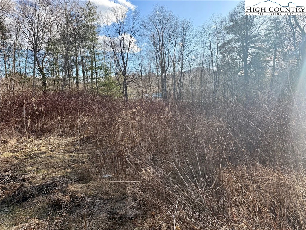 Image number 6 for the current listing