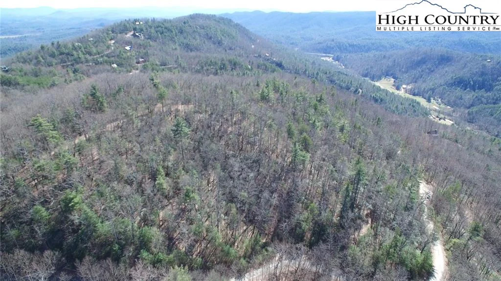 Image number 1 for the current listing