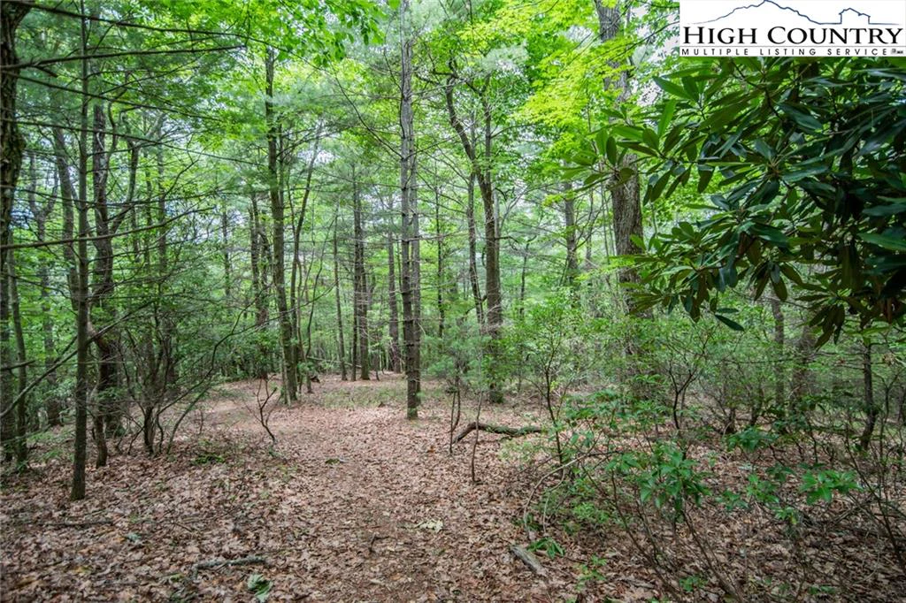 Image number 3 for the current listing