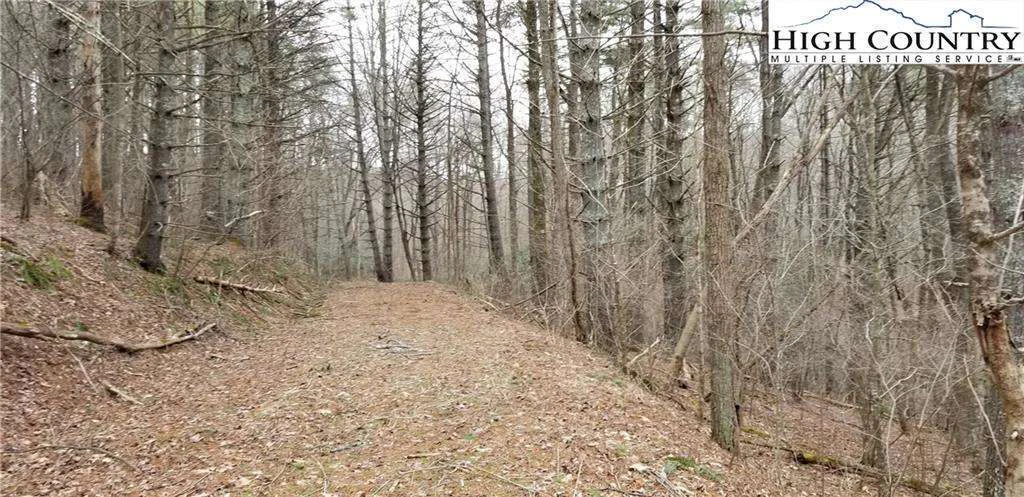 Image number 3 for the current listing