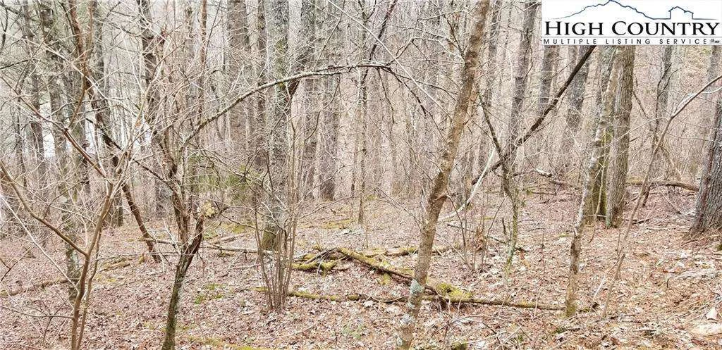 Image number 5 for the current listing