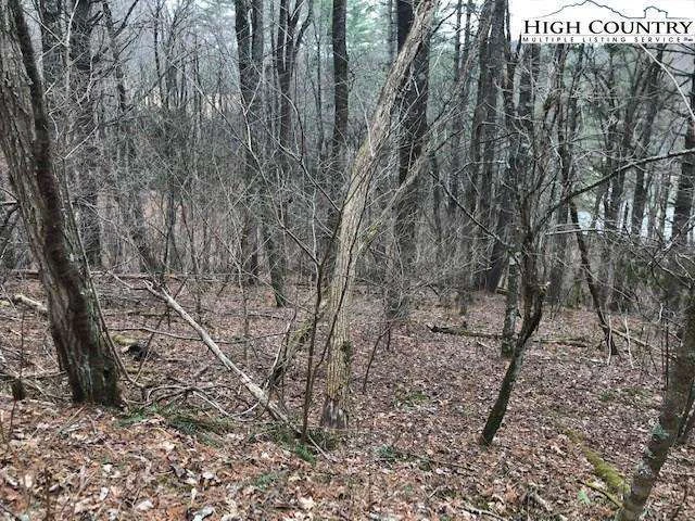 Image number 6 for the current listing