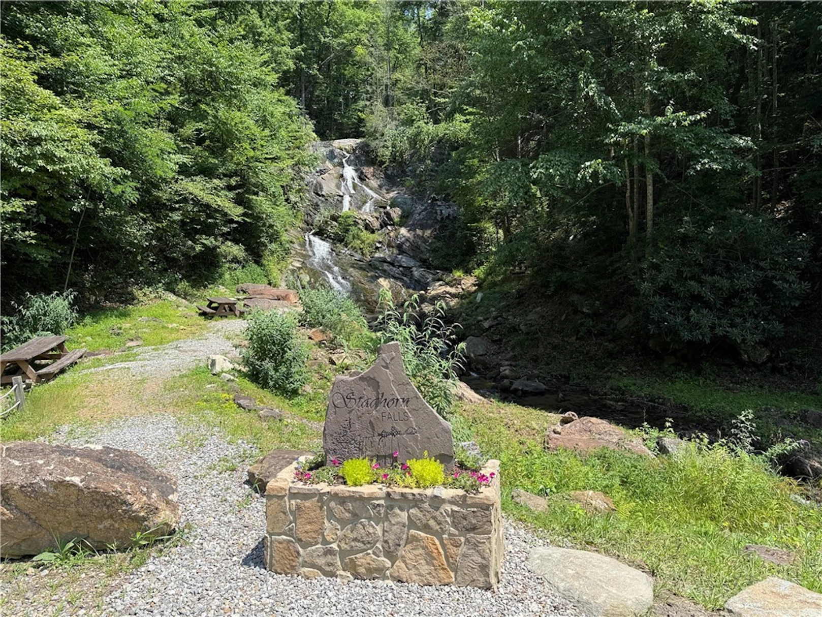 Image number 4 for the current listing