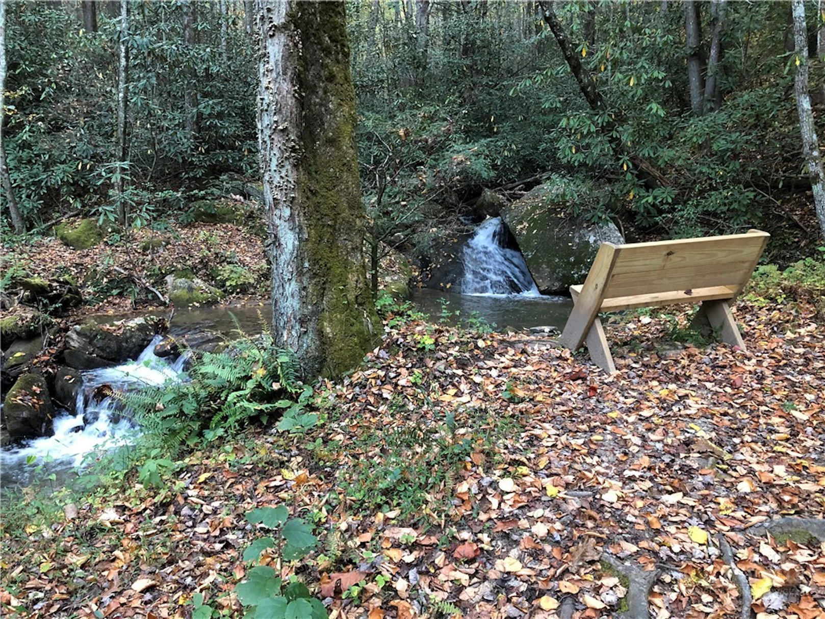 Image number 12 for the current listing