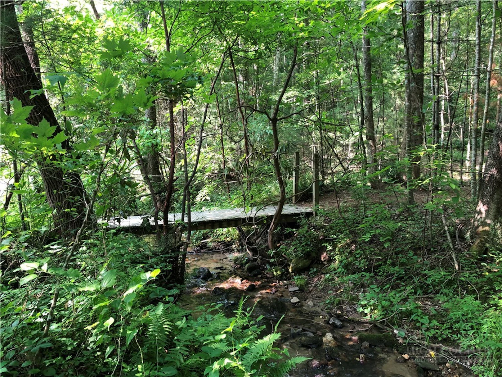 Image number 2 for the current listing