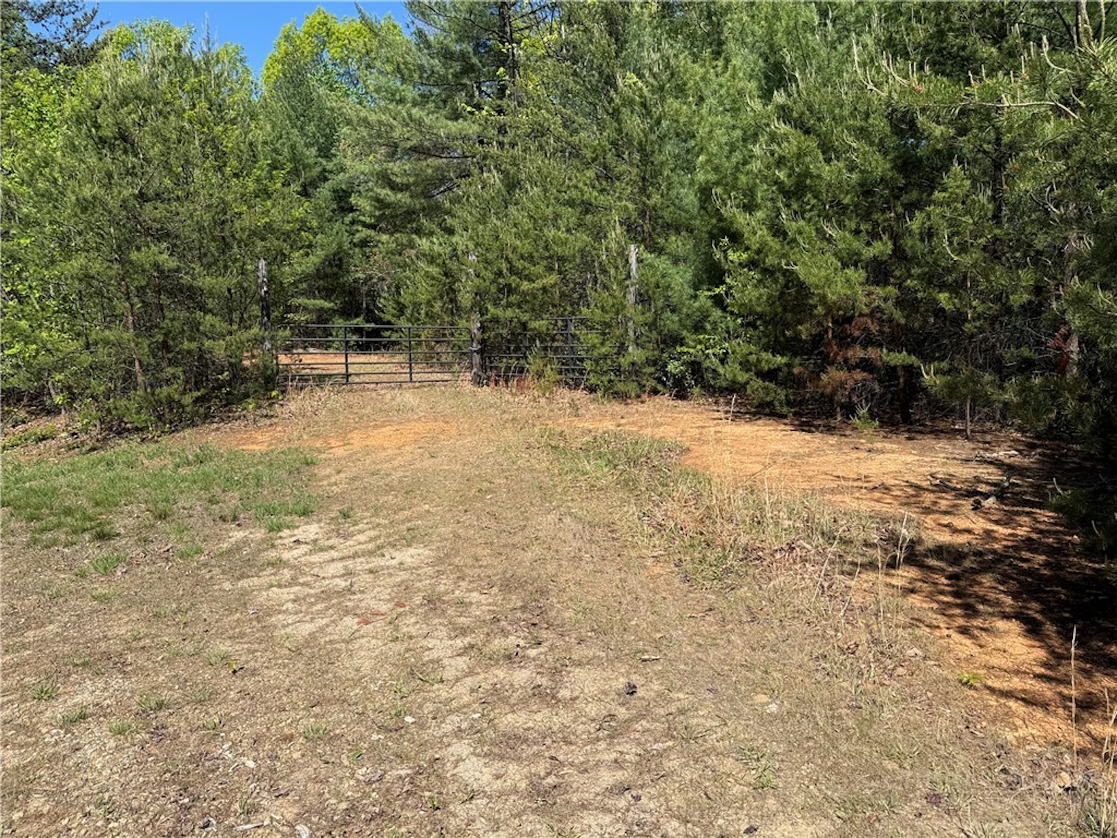 Image number 1 for the current listing