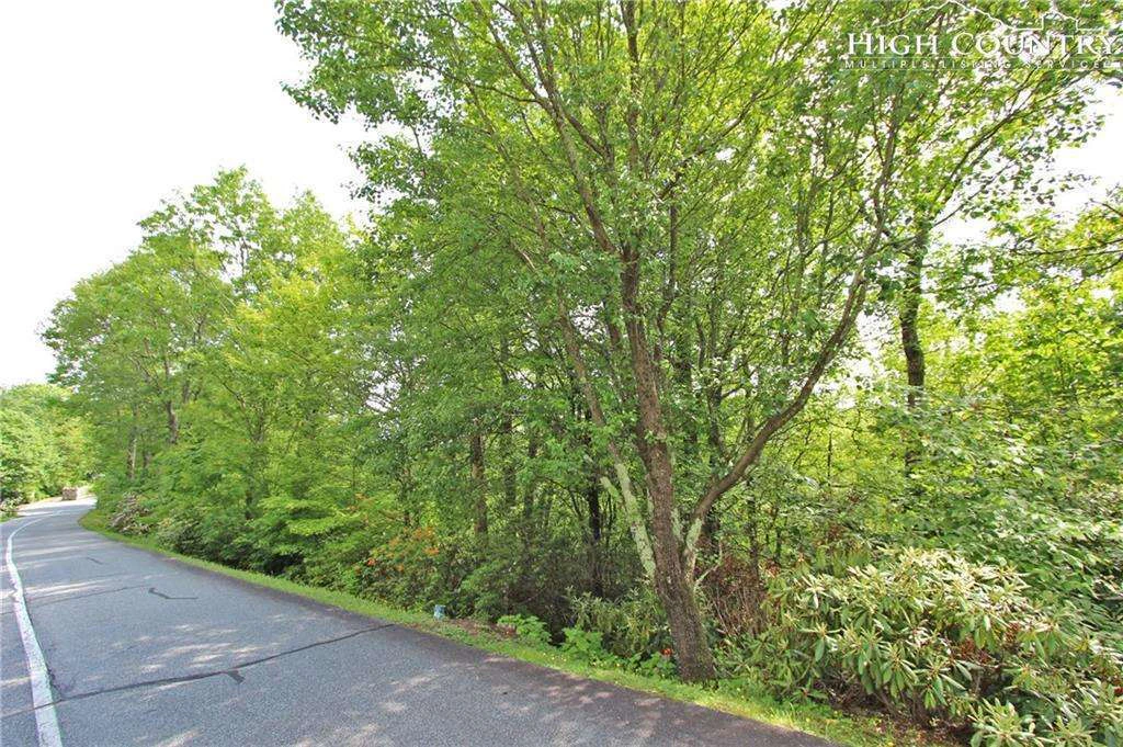 Image number 3 for the current listing