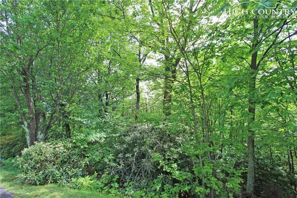 Image number 4 for the current listing