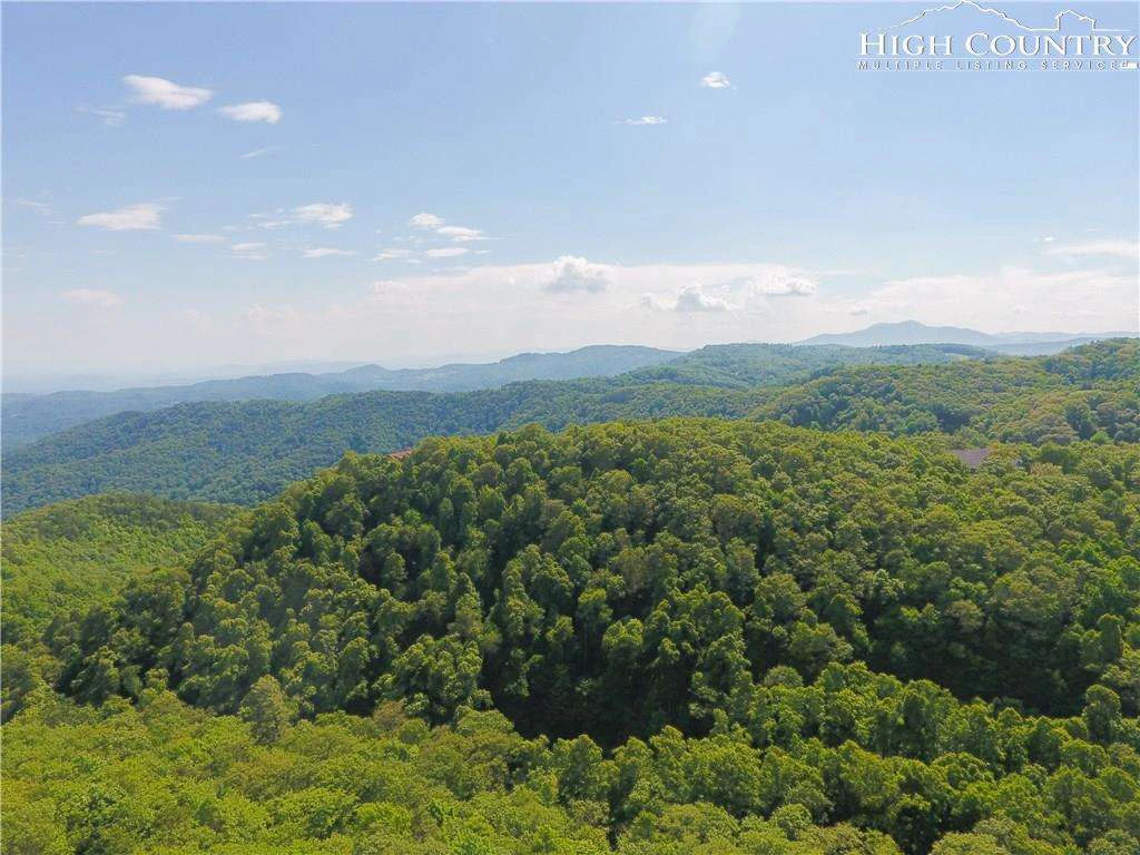 Image number 7 for the current listing