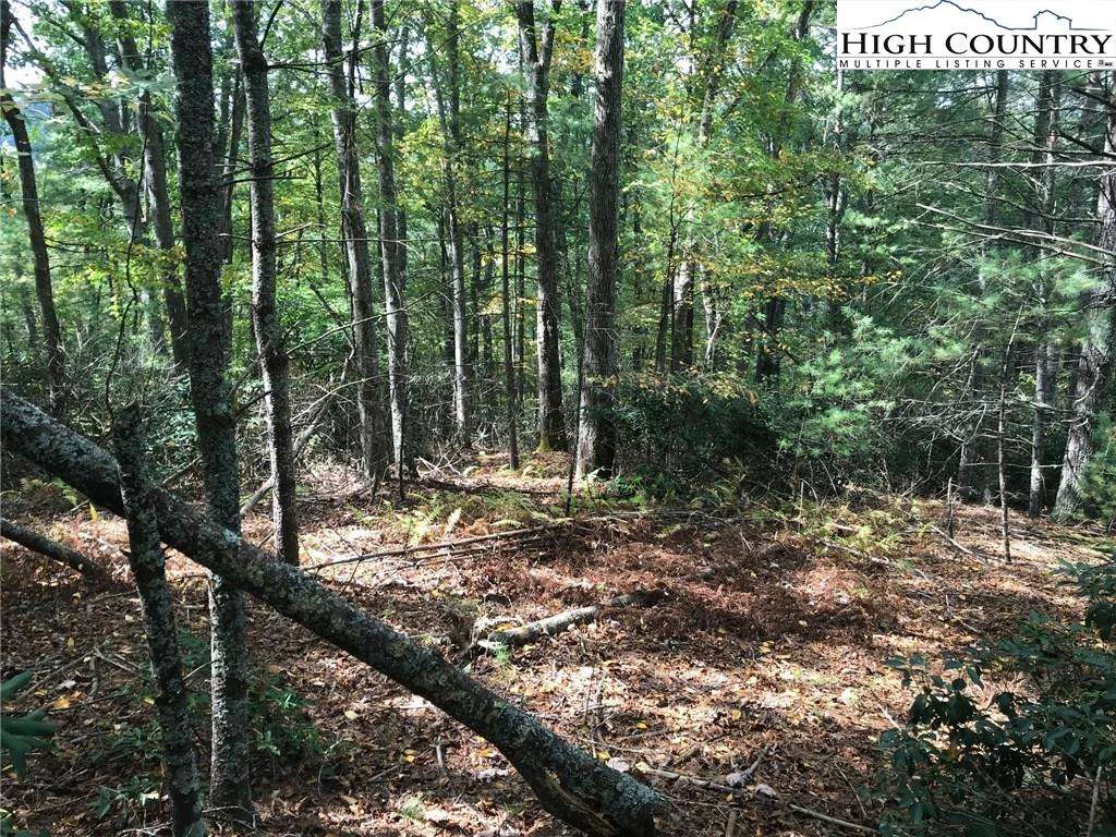 Image number 11 for the current listing