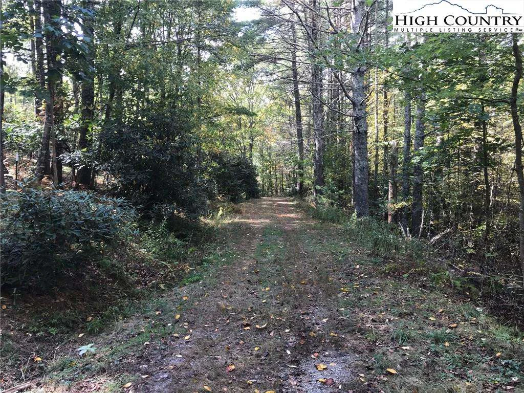 Image number 9 for the current listing