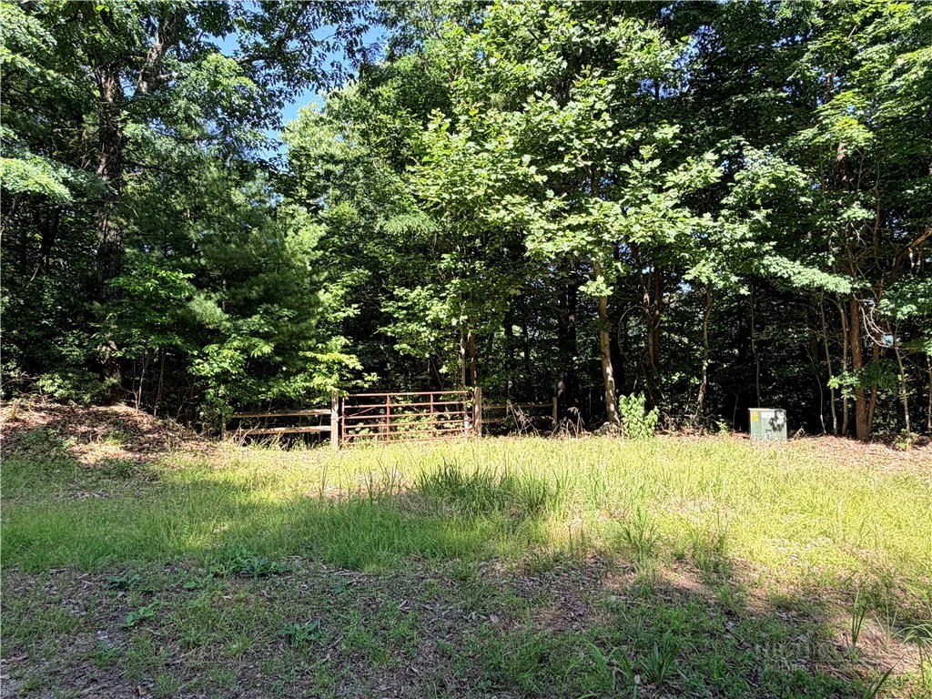 Image number 1 for the current listing