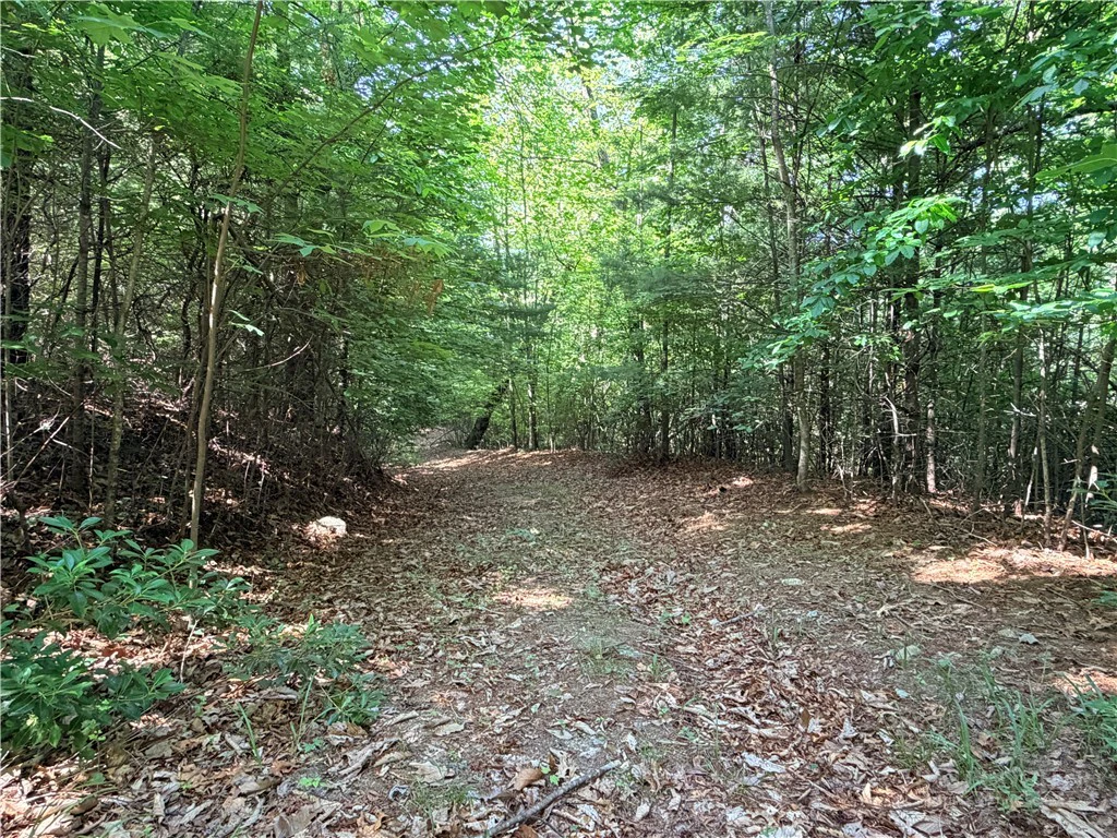 Image number 9 for the current listing