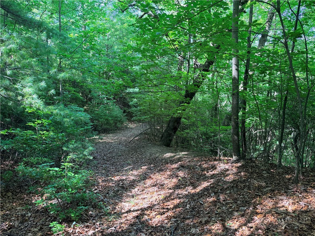 Image number 12 for the current listing
