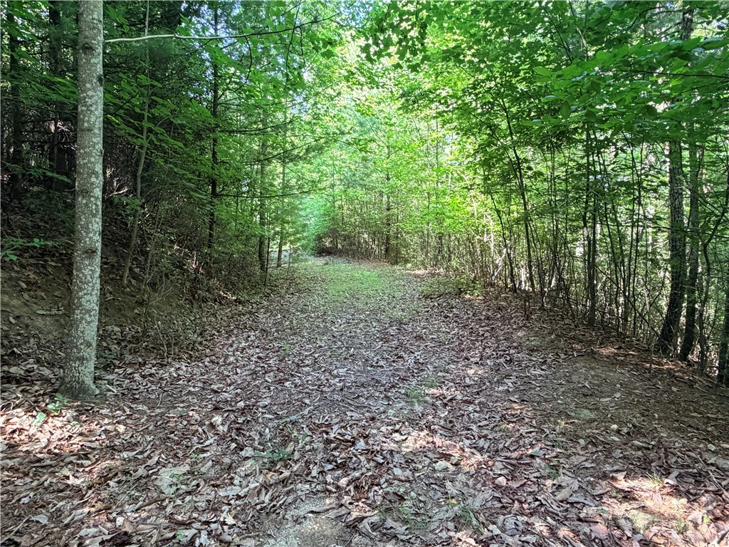 Image number 7 for the current listing
