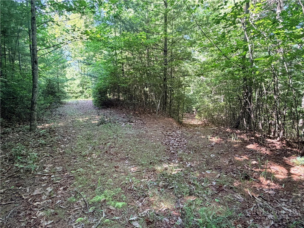 Image number 10 for the current listing