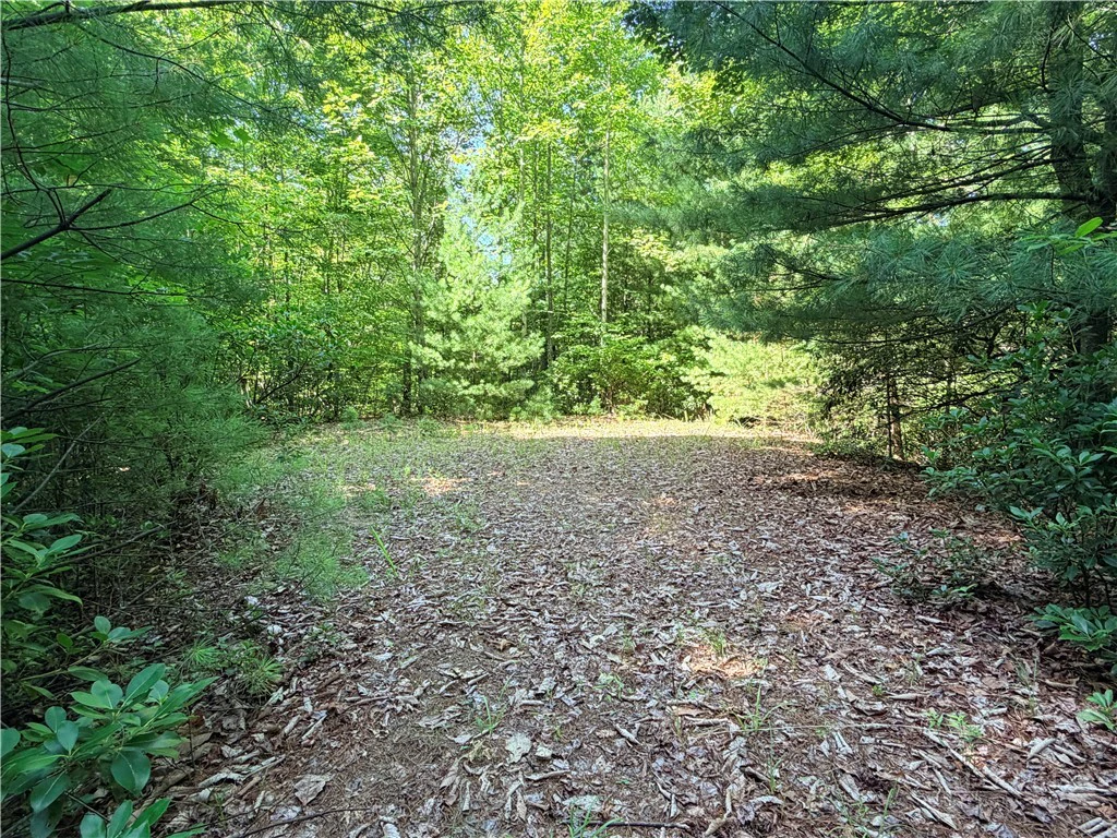 Image number 2 for the current listing