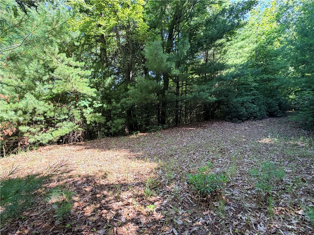 Image number 8 for the current listing