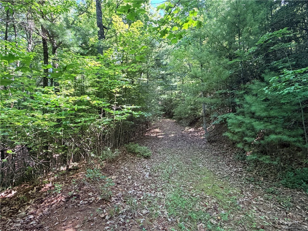Image number 13 for the current listing