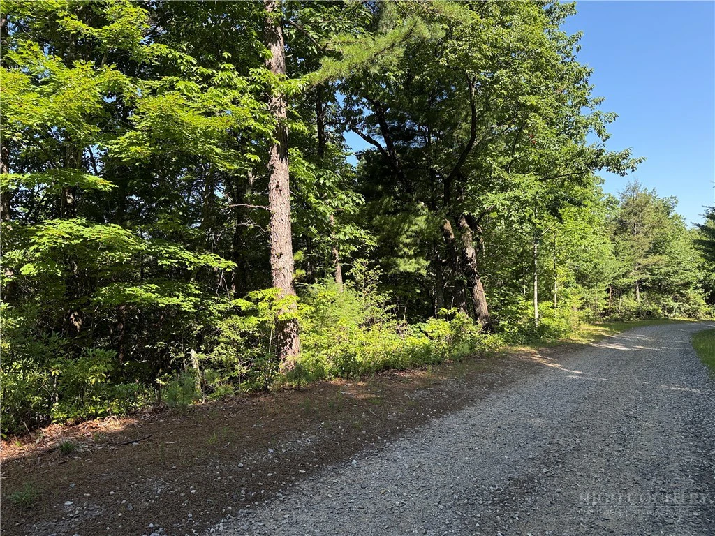 Image number 6 for the current listing