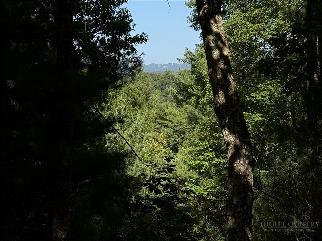 Image number 4 for the current listing