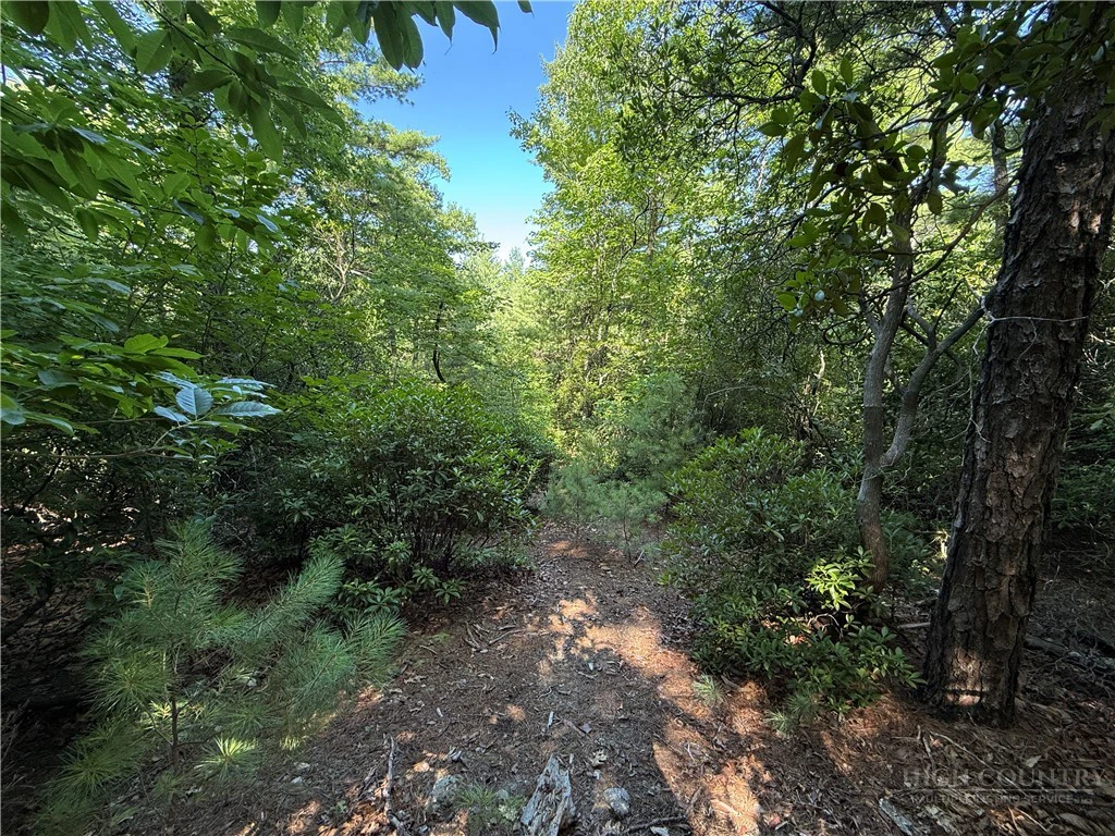 Image number 15 for the current listing