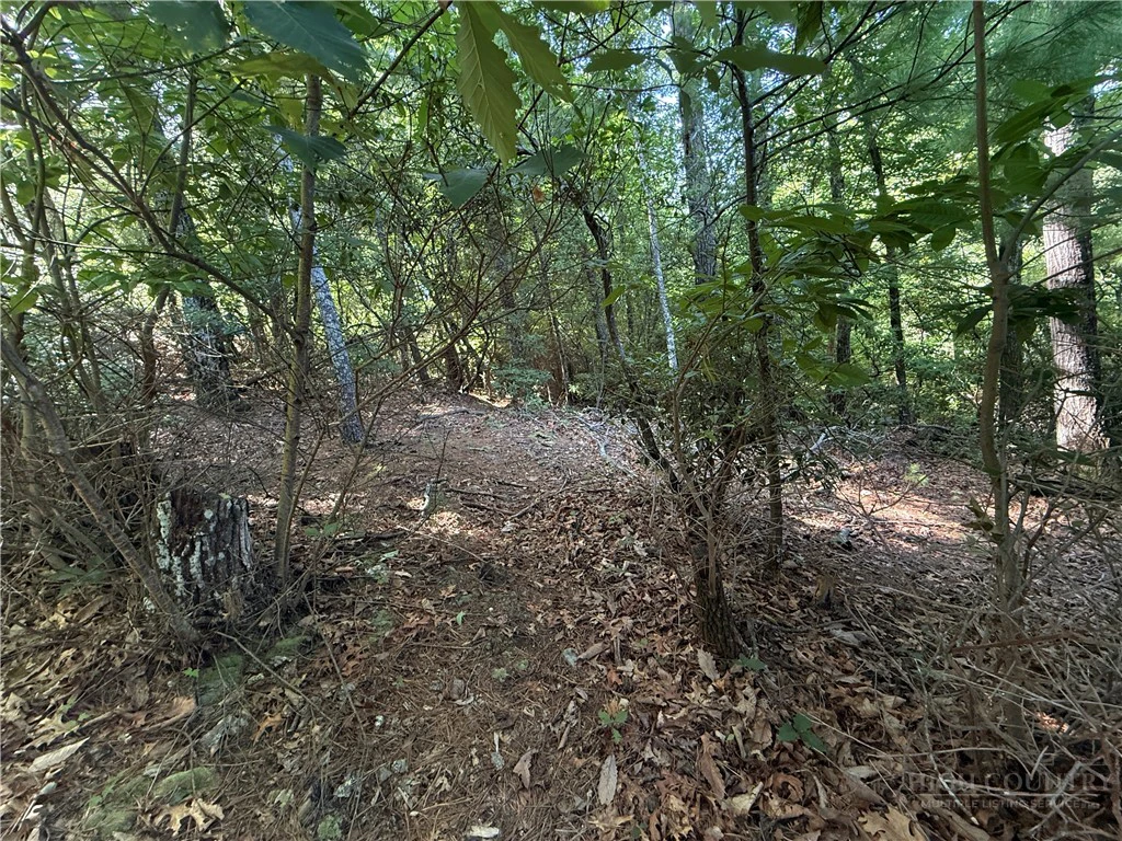 Image number 16 for the current listing