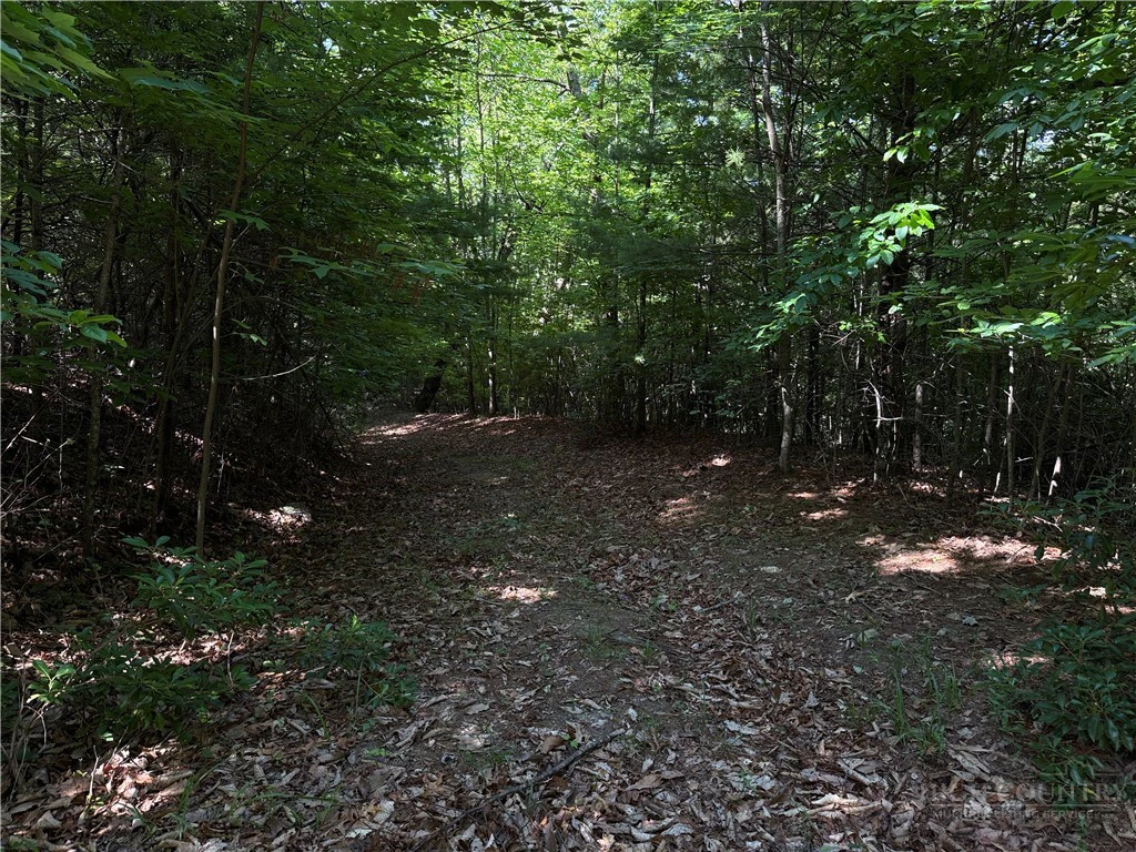 Image number 17 for the current listing