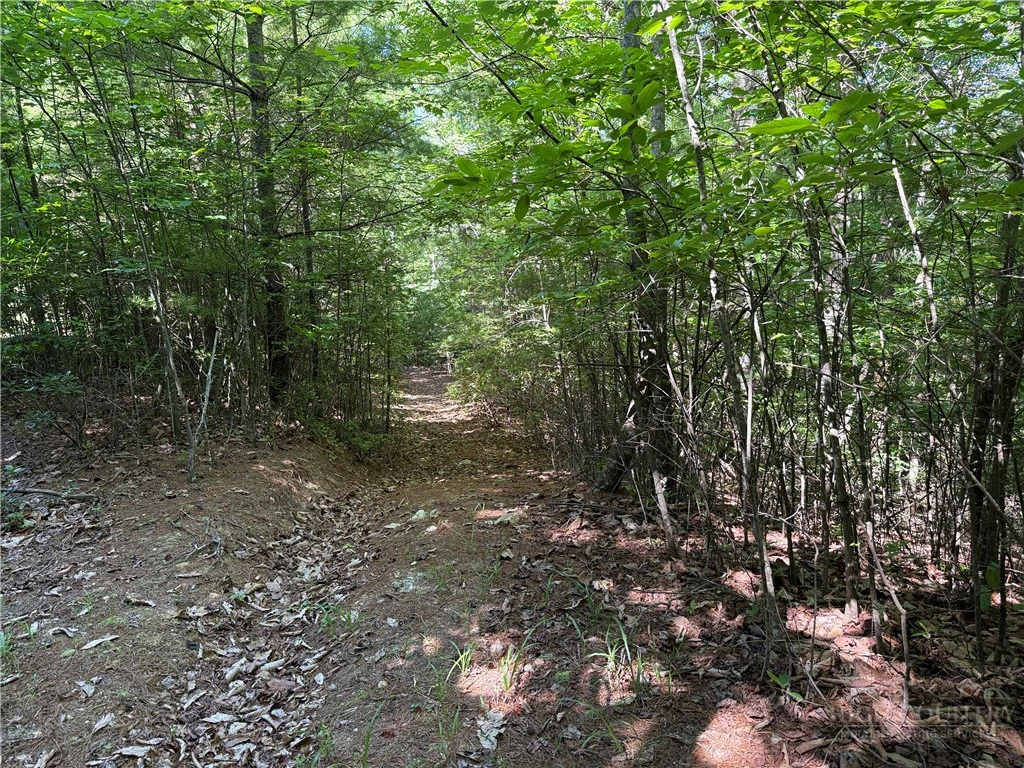 Image number 11 for the current listing