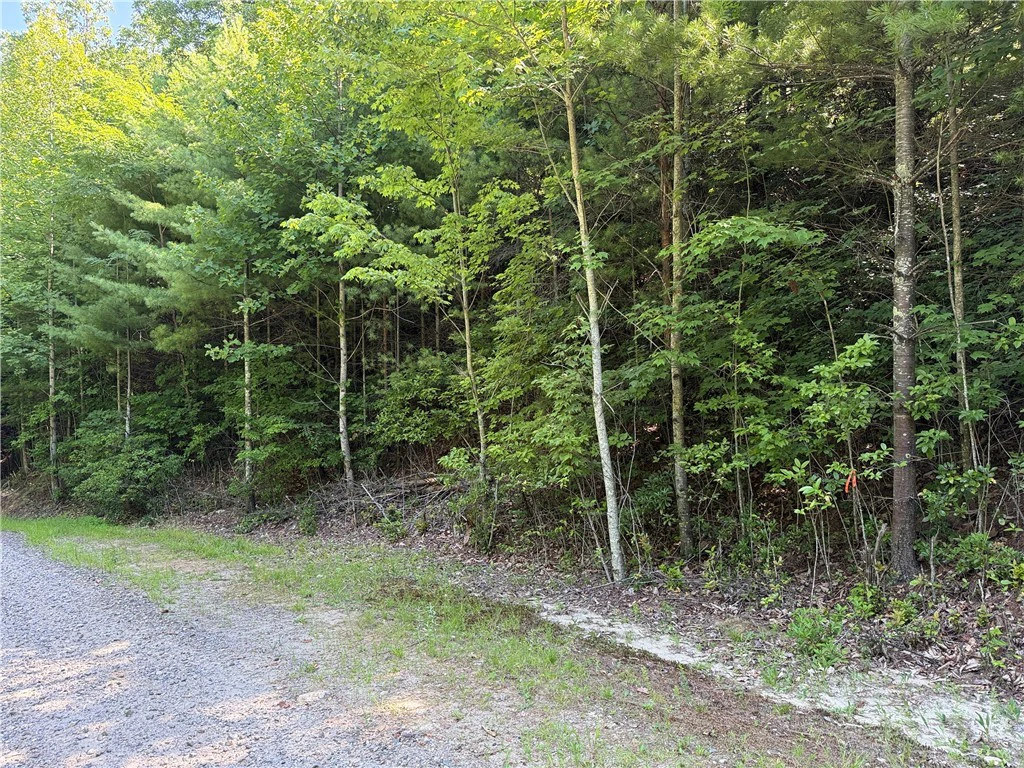 Image number 21 for the current listing