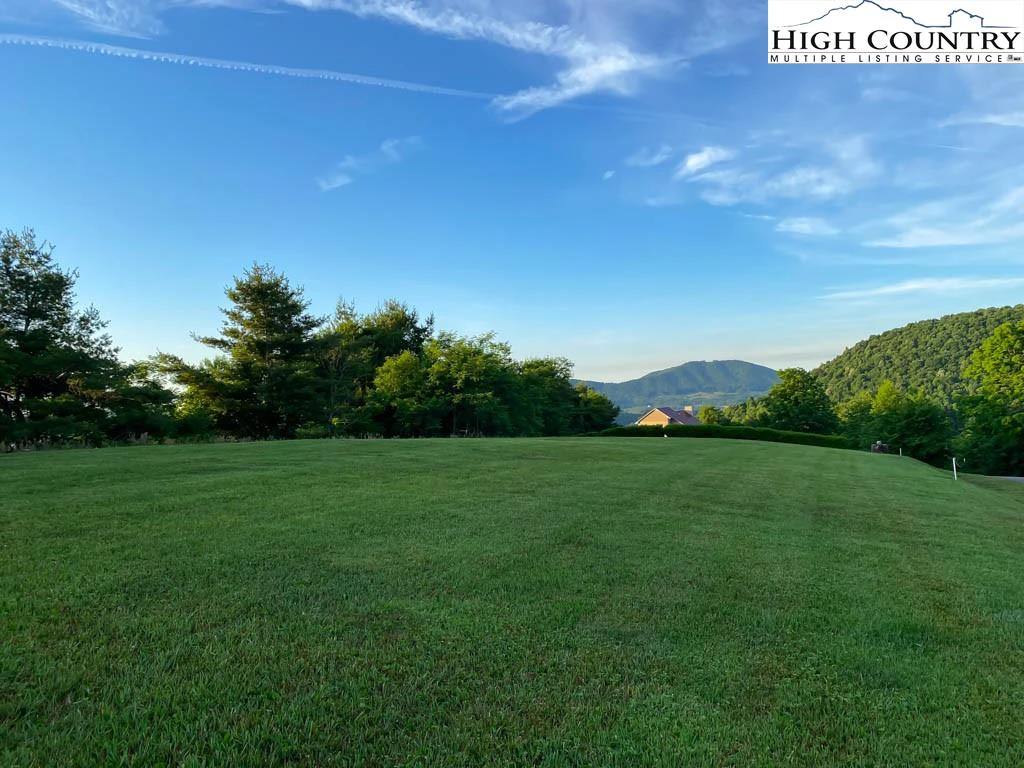 Image number 1 for the current listing