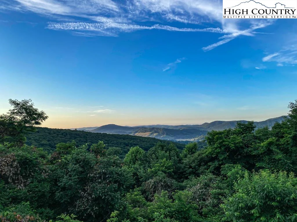 Image number 3 for the current listing