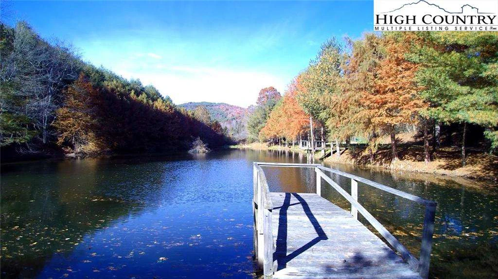Image number 1 for the current listing