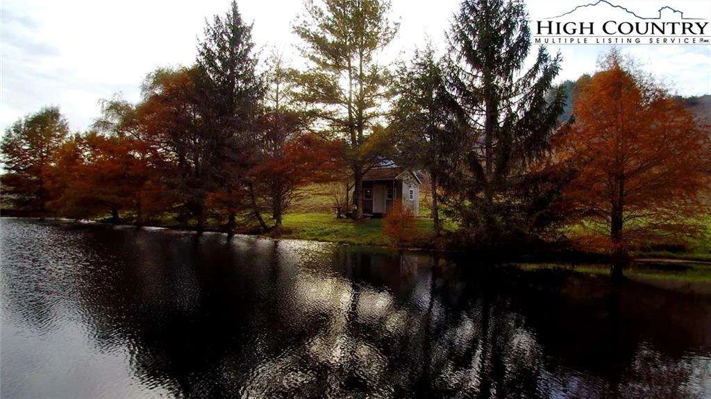 Image number 11 for the current listing