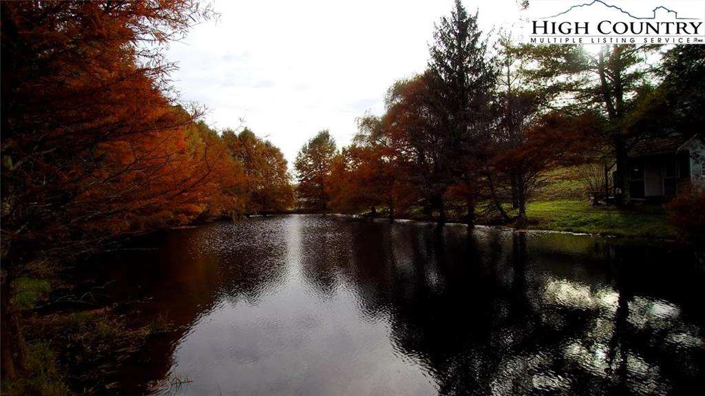 Image number 12 for the current listing