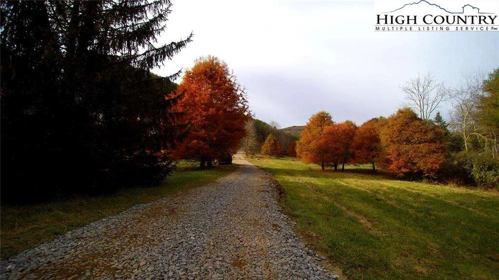 Image number 15 for the current listing