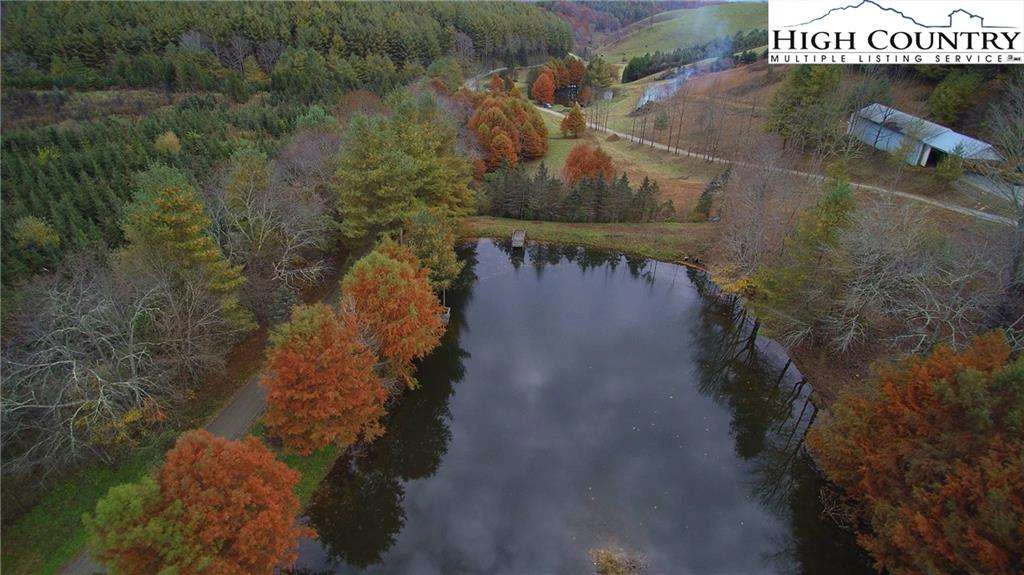 Image number 7 for the current listing