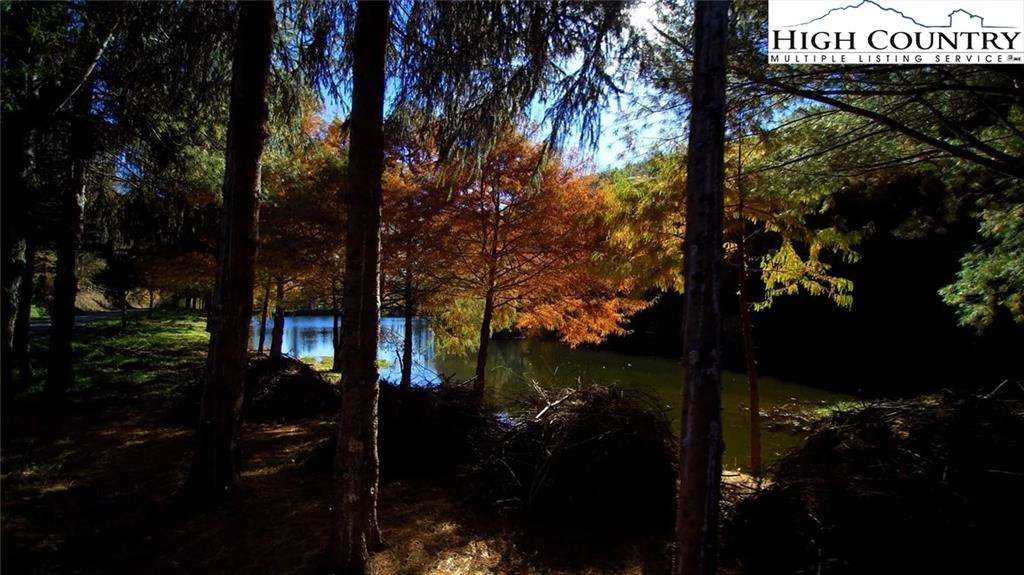 Image number 9 for the current listing