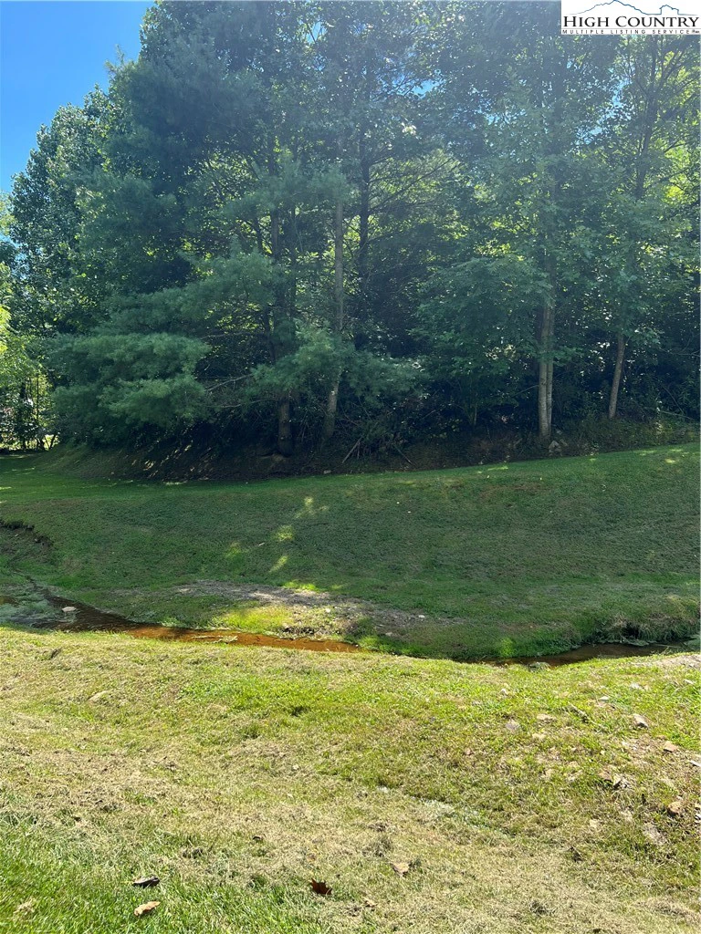 Image number 4 for the current listing