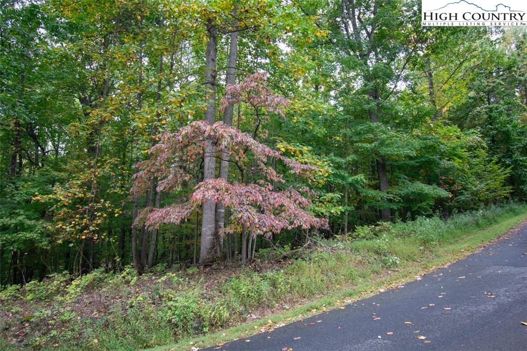 Image number 1 for the current listing