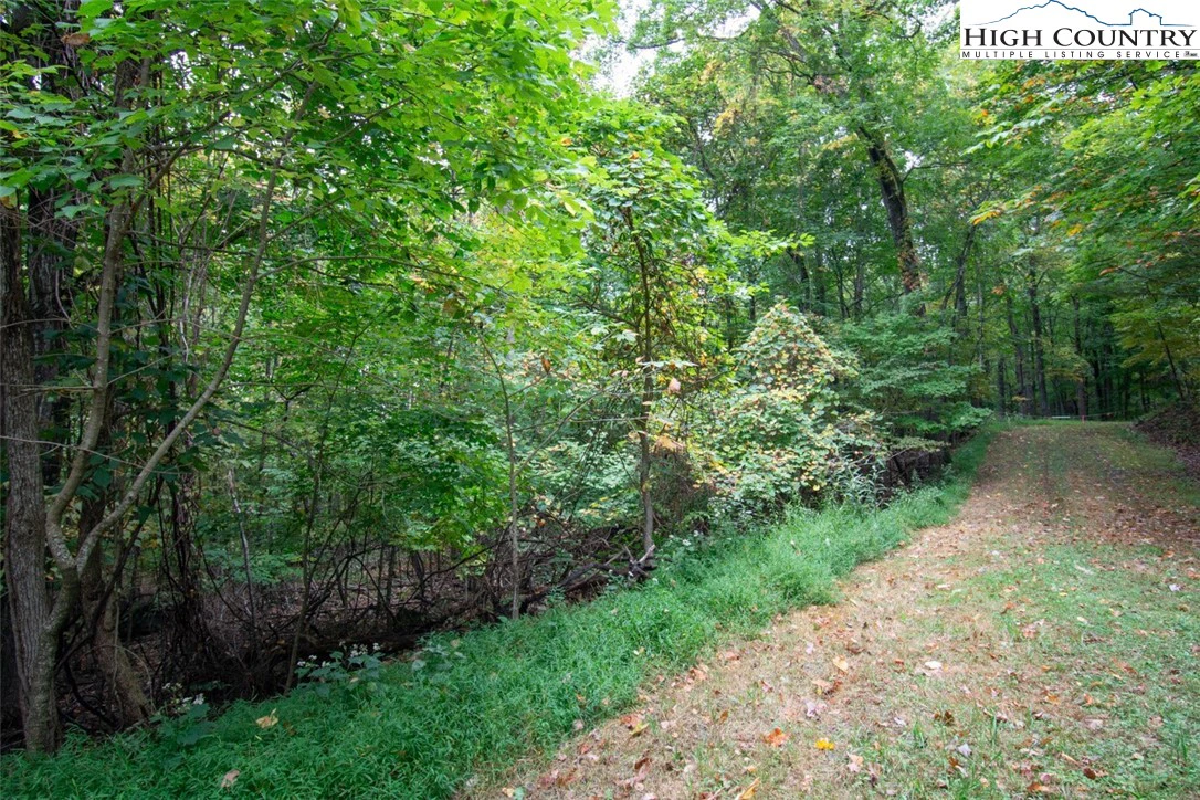 Image number 5 for the current listing