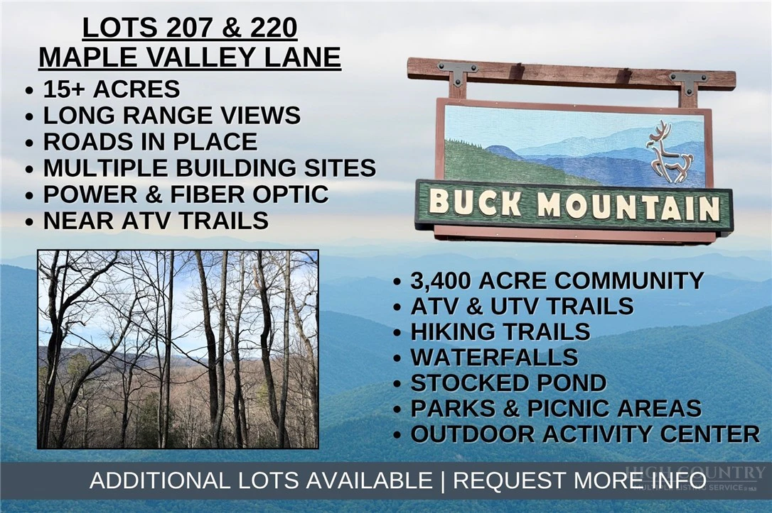 Image number 1 for the current listing