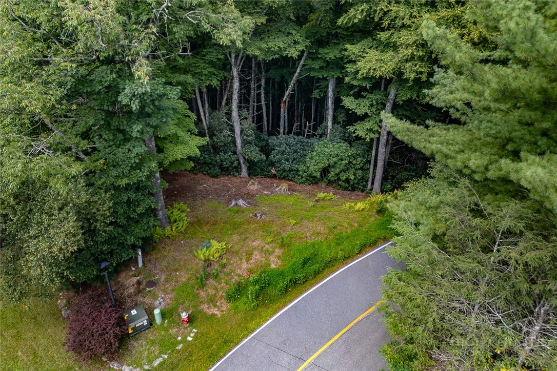 Image number 1 for the current listing