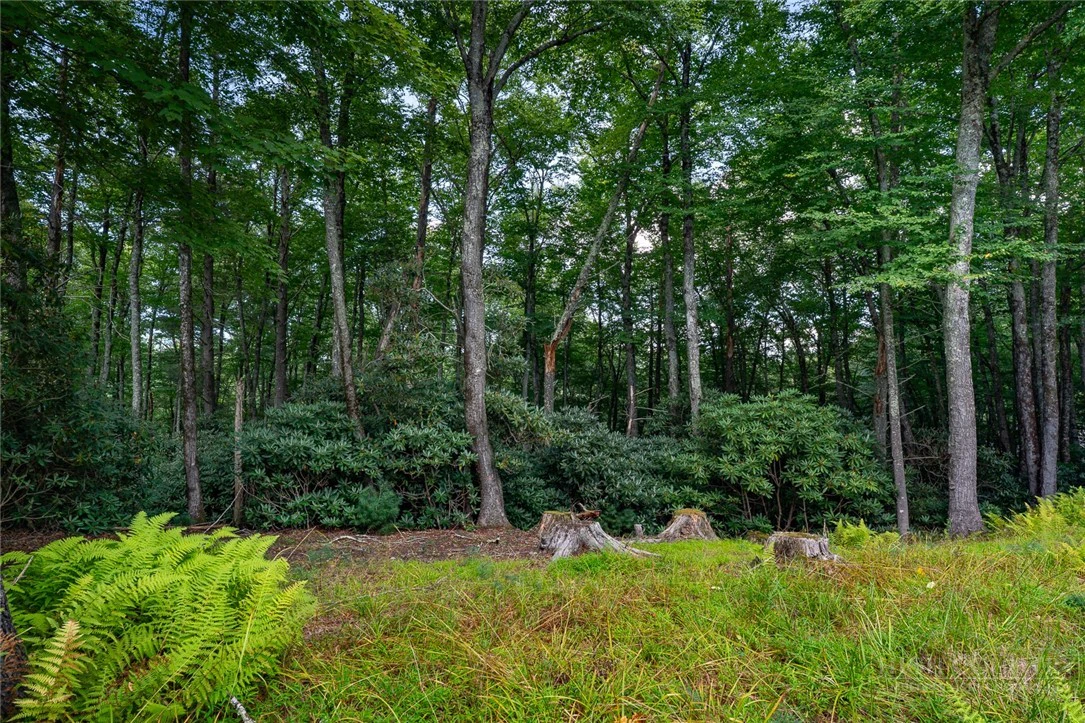 Image number 4 for the current listing